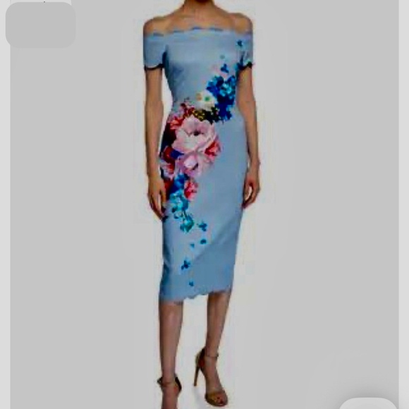 NWT Ted Baker Hailly Bardot Dress in Raspberry Ripple Size 3 US Size 8 - Picture 3 of 12